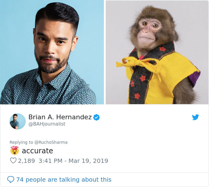 Someone Realizes This Monkey Looks Like Every Journalist And Real Journalists Confirm With 24 Pics Someone Realizes This Monkey Looks Like Every Journalist And Real Journalists Confirm With 24 Pics