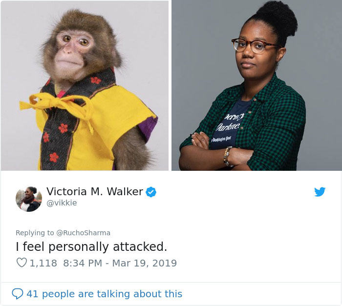 Someone Realizes This Monkey Looks Like Every Journalist And Real Journalists Confirm With 24 Pics