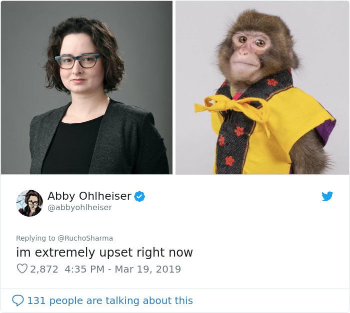 Someone Realizes This Monkey Looks Like Every Journalist And Real Journalists Confirm With 24 Pics