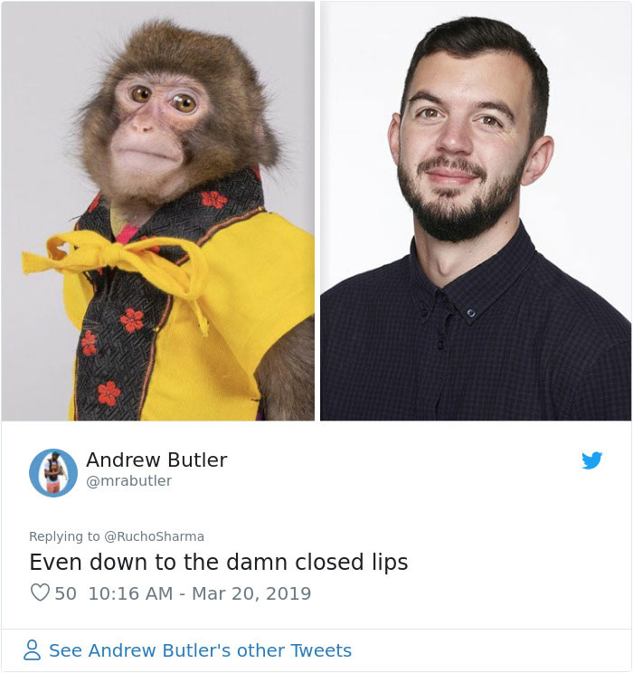 Someone Realizes This Monkey Looks Like Every Journalist And Real Journalists Confirm With 24 Pics