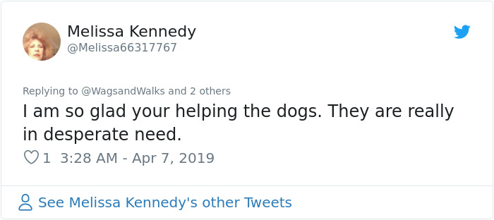 Patrick Stewart Has A New Foster Dog And Their Bond Is Adorable Patrick Stewart Has A New Foster Dog And Their Bond Is Adorable