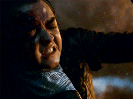 Fans Uncover All The Hidden Hints That Led To THAT Arya Twist