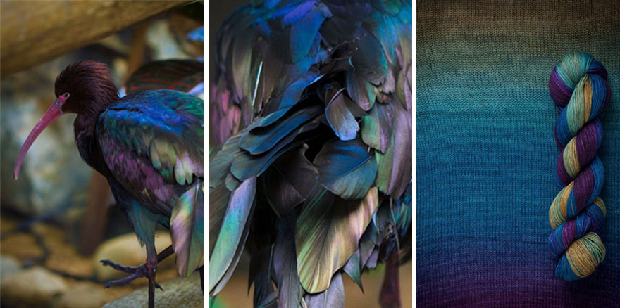 We Apply Nature's Design Solutions To Create Unique Clothing We Apply Nature's Design Solutions To Create Unique Clothing