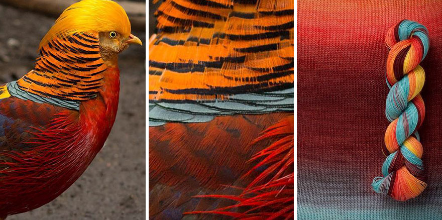 We Apply Nature's Design Solutions To Create Unique Clothing We Apply Nature's Design Solutions To Create Unique Clothing