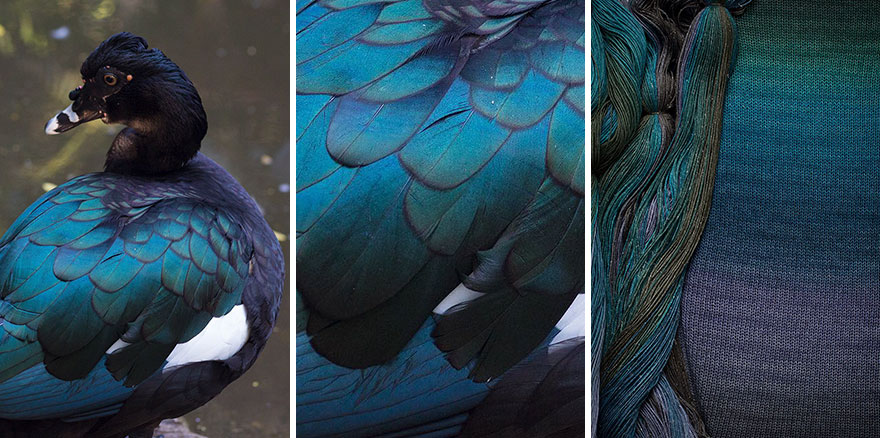 We Apply Nature's Design Solutions To Create Unique Clothing