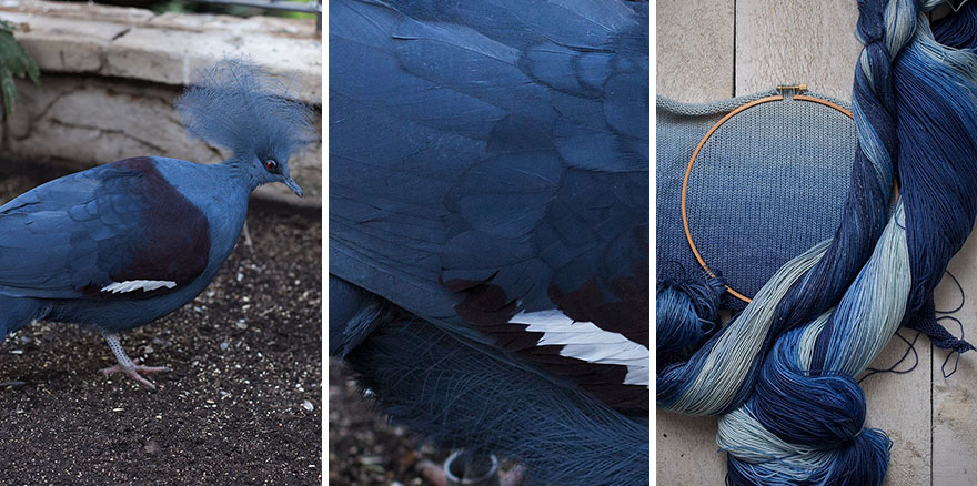 We Apply Nature's Design Solutions To Create Unique Clothing