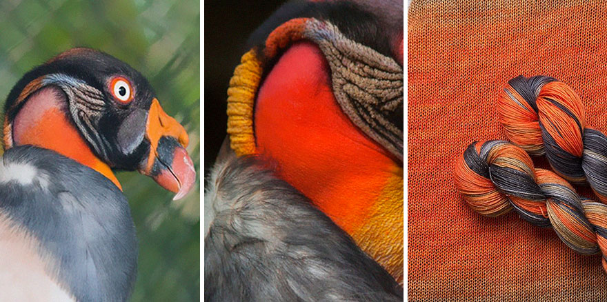 We Apply Nature's Design Solutions To Create Unique Clothing We Apply Nature's Design Solutions To Create Unique Clothing