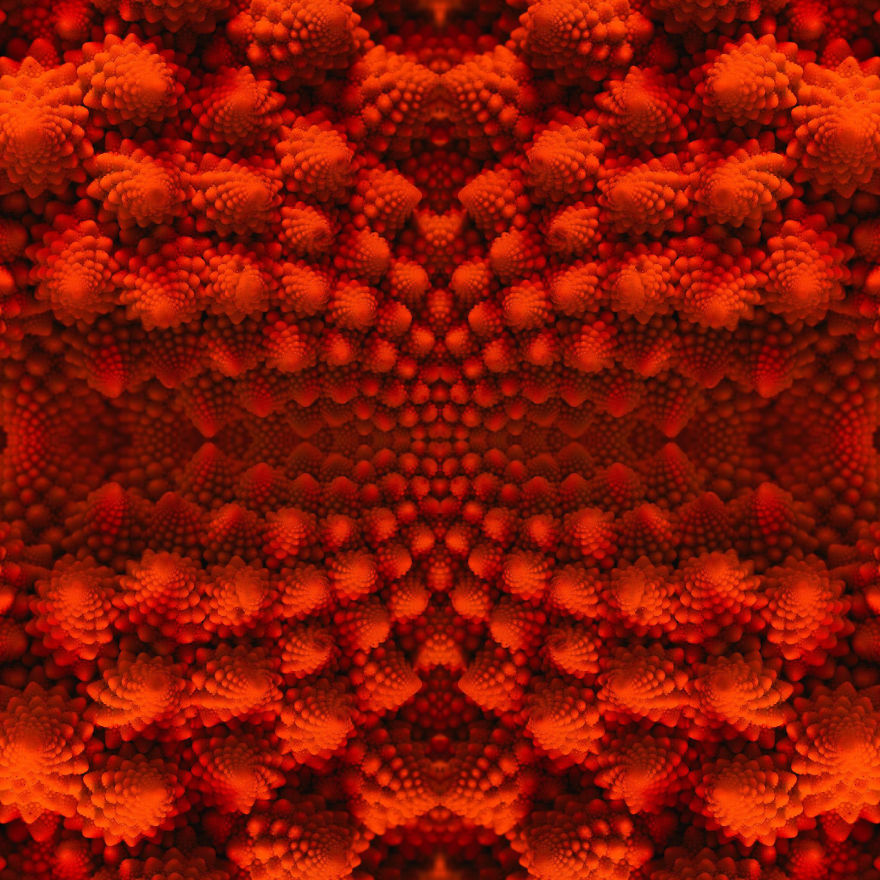 A Romanesco Caulliflower - At Home