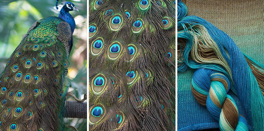 We Apply Nature's Design Solutions To Create Unique Clothing We Apply Nature's Design Solutions To Create Unique Clothing