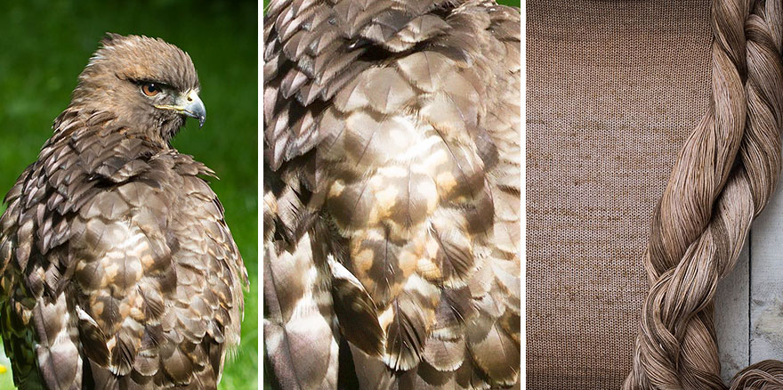 We Apply Nature's Design Solutions To Create Unique Clothing We Apply Nature's Design Solutions To Create Unique Clothing