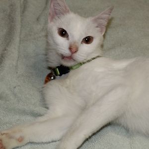 westonberryhill avatar