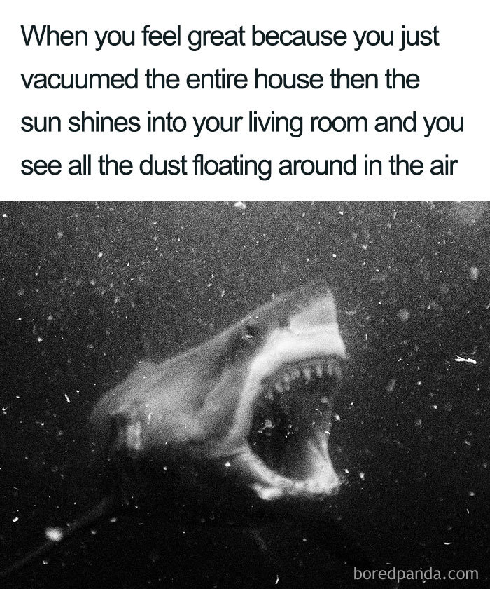 A shark surrounded by dust, representing a humorous cleaning meme.