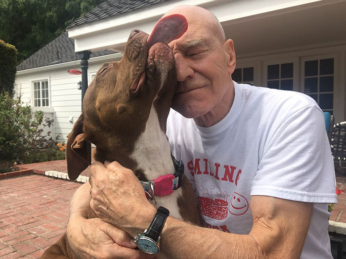 Patrick Stewart Has A New Foster Dog And Their Bond Is Adorable