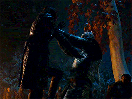Fans Uncover All The Hidden Hints That Led To THAT Arya Twist