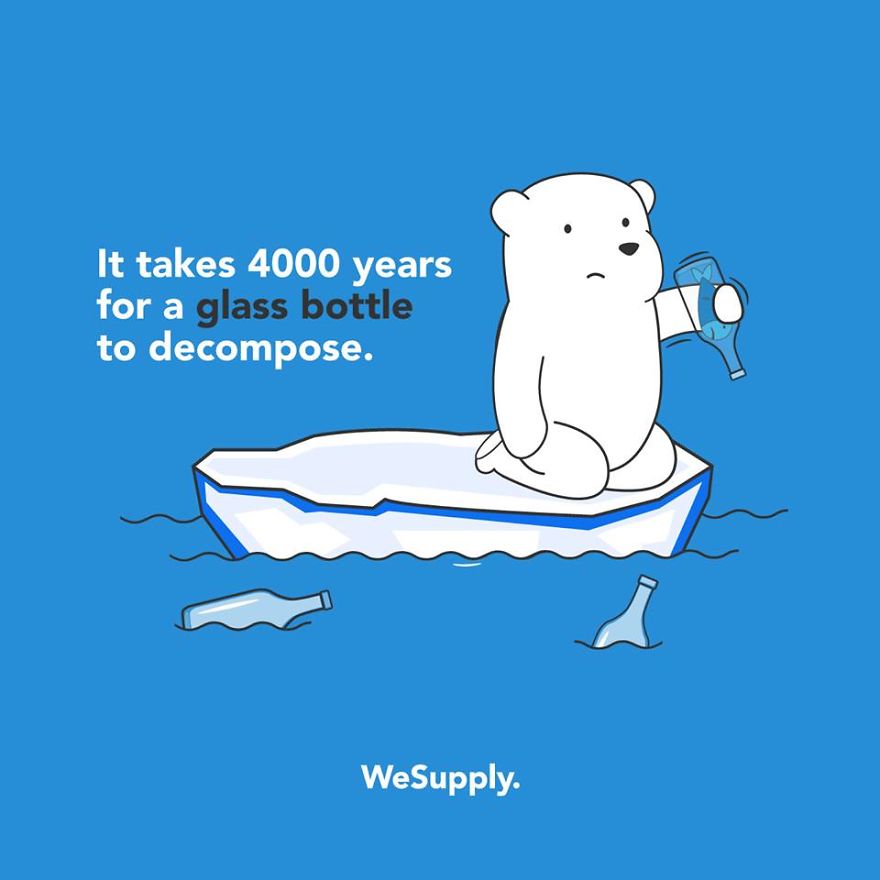 We Created 40 Informative Illustrations About Environmental Issues