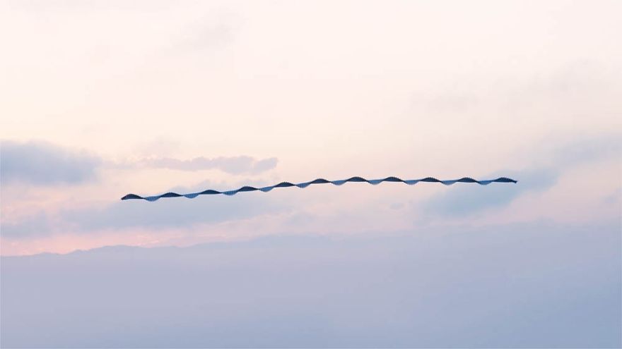10 Stunning Photos That Capture The Flight Patterns Of Birds By Xavi Bou