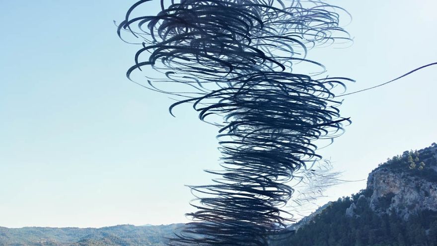 10 Stunning Photos That Capture The Flight Patterns Of Birds By Xavi Bou