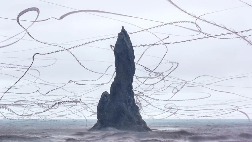 10 Stunning Photos That Capture The Flight Patterns Of Birds By Xavi Bou 10 Stunning Photos That Capture The Flight Patterns Of Birds By Xavi Bou