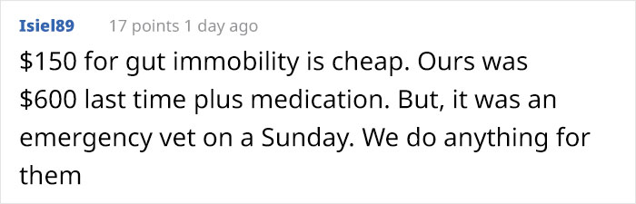 Bunny Owner Explains Why You Shouldn't Get One Before Easter