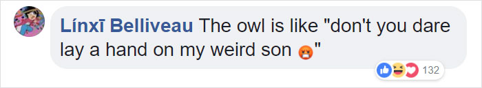 Duckling Gets Raised By An Owl And The Photos Are Adorable