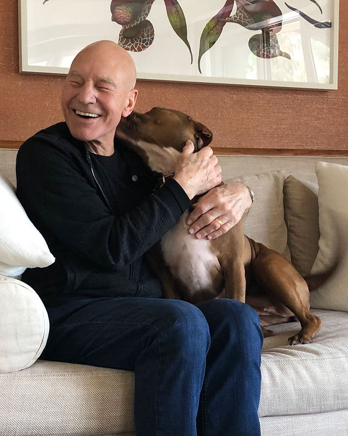 Patrick Stewart Has A New Foster Dog And Their Bond Is Adorable