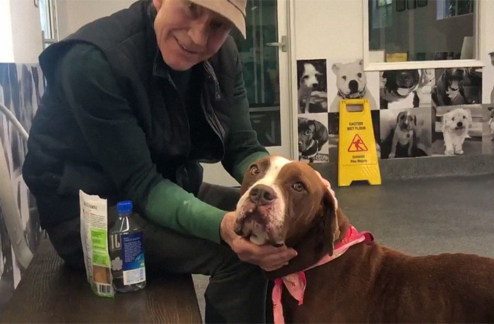 Patrick Stewart Has A New Foster Dog And Their Bond Is Adorable Patrick Stewart Has A New Foster Dog And Their Bond Is Adorable