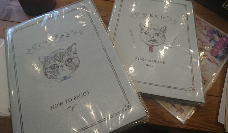 5 Crazy Cool Concept Cafes Not To Be Missed In Tokyo!!