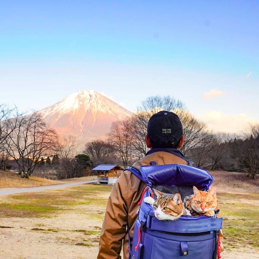 This Man Travels All Over Japan With His Two Kittens And The Images Of His Instagram Are Purrrfect