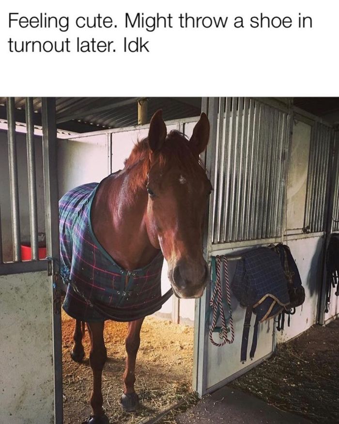 Funny-Feeling-Cute-Challenge