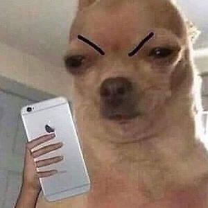 veronika_wiltschova avatar