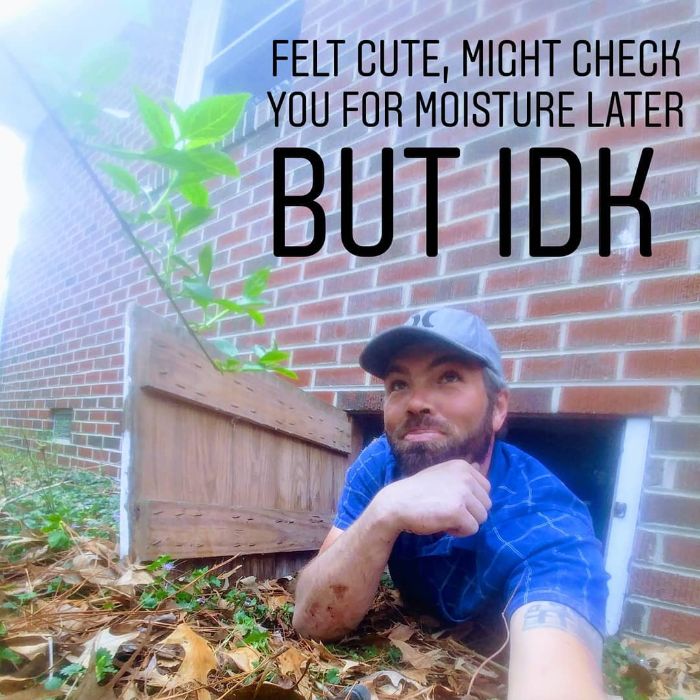 Funny-Feeling-Cute-Challenge