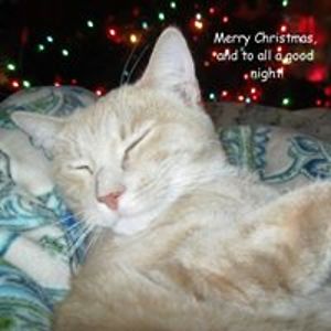 twogryffindors avatar