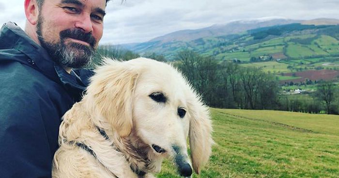 30 Animal Panorama Fails That Are So Bad They’re Good