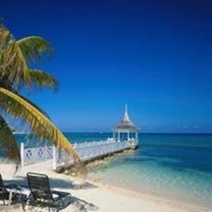 dsiefringbright_net avatar