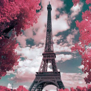 alaynacarlson avatar