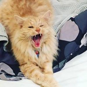 madeline_grant avatar