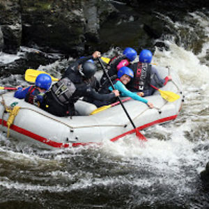 chielolamadrid avatar