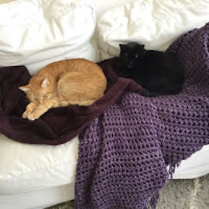 campbellbailey avatar