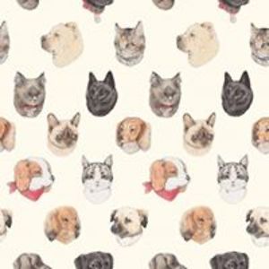 bella_anderson avatar