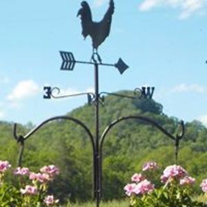 elaine_conover avatar