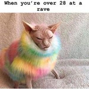 javiereusanchez avatar