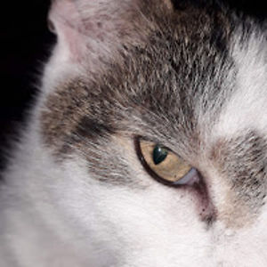 beverleyspirif avatar