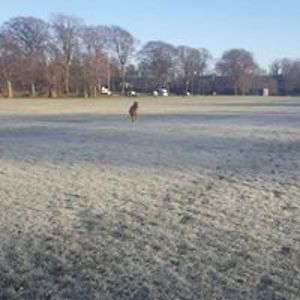 donnamorrison1972 avatar