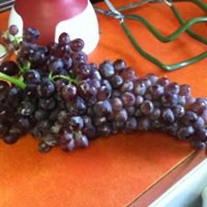 merrymary1550 avatar