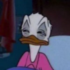 marielarodriguez_1 avatar