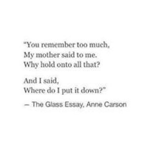 rebeccabouvierbeale avatar