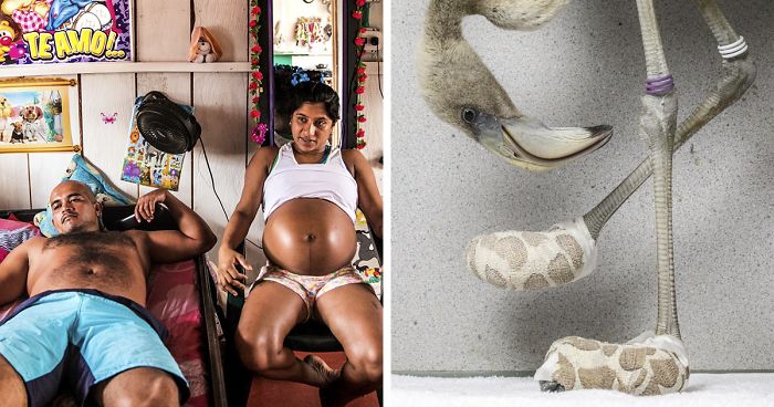 30 Of The Most Powerful Press Photos Of The Year Just Announced