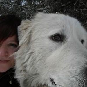 suzannescoville avatar