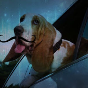 zoelopezzorolocho avatar