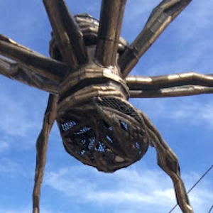 theartistcowgirl avatar